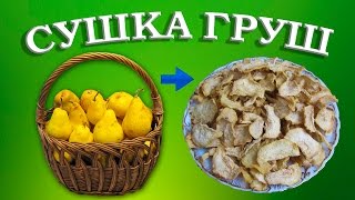 Сушка груш  Сушеные груши в домашних условиях [upl. by Nathaniel]