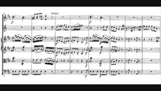 Wolfgang Amadeus Mozart  Horn Concerto No 1 K 412 [upl. by Ishmael]