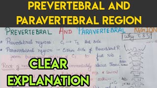 Prevertebral and para vertebral regions [upl. by Akenn]