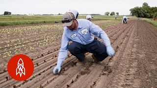 The Family Farm That Supplies WorldClass Chefs [upl. by Brocklin401]