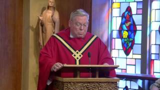 Peel back the blindness  Homily Fr Mark Storey [upl. by Line]