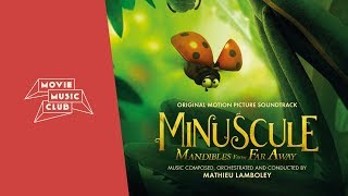 Mathieu Lamboley  LHabanera  From the movie quotMinuscule Mandibles From Far Awayquot [upl. by Rese209]