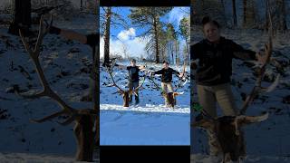 Doubled up mtnops sitka elk hunting oregon [upl. by Bamberger]