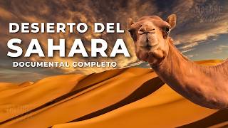 DESIERTO DEL SAHARA  Una Tierra de Extremos  Documental Completo [upl. by Eedia]