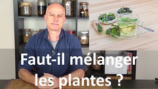 Fautil mélanger les plantes ou les prendre seules [upl. by Leeann]