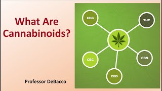 What Are Cannabinoids [upl. by Yllitnahc]