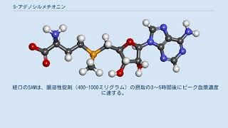 Sアデノシルメチオニン [upl. by Esiom]