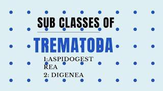 Sub classes of Trematoda AspidogestreaDigenea invertebrates diversity [upl. by Ueik]