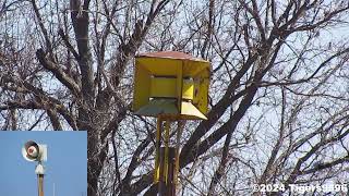 FS SD10 amp 2001130 Tornado Siren Test  Cushing OK [upl. by Yenobe]