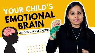 Hand Model of the Brain for Kids by Daniel Siegel  Social Emotional Learning  Emotion Regulation [upl. by Atnamas]