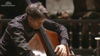 Zsolt Fejérvári plays Vanhals Bass Concerto [upl. by Grondin394]