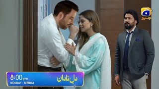 Dill e Nadan Episode 27 Teaser  Review  Dill e Nadan Episode 27 Promo  Hal Pal Geo [upl. by Katha]