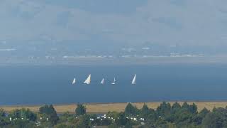 Spinnaker Sailing Class  August 28 2024  San Francisco Bay [upl. by Yran80]