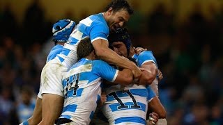 Ireland v Argentina  Match Highlights and Tries  RWC 2015 [upl. by Manara152]