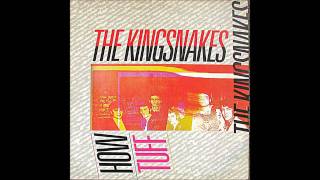 The Kingsnakes  Not Nice  1983 [upl. by Gherardo]