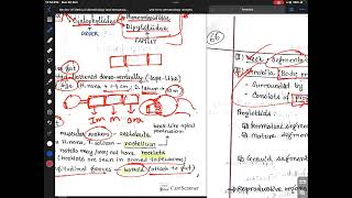 Introduction to Cestodes [upl. by Pearson]