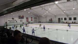 Olentangy Berlin vs St Edward Gold  Center Ice [upl. by Ylekalb]