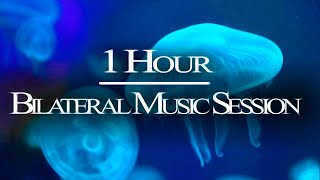 1 HR Bilateral Music Therapy  Relieve Stress Anxiety PTSD Nervousness  EMDR Brainspotting [upl. by Nosnor956]