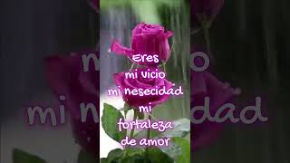 Palabras de amor y romance💝 para tiversos bonitos y cortos para dedicar💞💞amor [upl. by Gittel410]