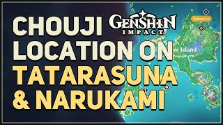 Chouji Location on Tatarasuna and Narukami Island Genshin Impact [upl. by Shuman]