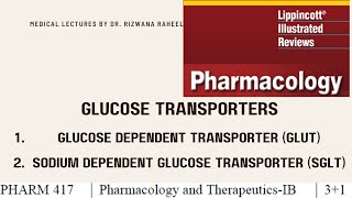 Glucose Transporters GLUTs and SGLTs  Lippincott pharmacology Chapter 24  Lecture  9 [upl. by Monetta792]