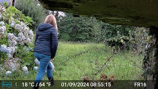 Videos Only Edit GardePro A3 Trail Camera 4 of 10 FR16 Côtes dArmor Brittany France Part 1 [upl. by Nicol]