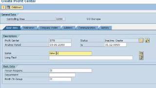 Define and Active Profit Center [upl. by Dillie]