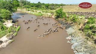 Great Migration 2024 Aerial Journey Across the Maasai Mara [upl. by Tu818]