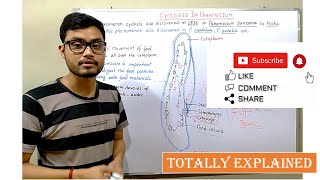 Cyclosis in Paramecium  BSc 1st year Zoology [upl. by Onida]