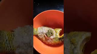 Tilapia macher fry recipe  সুস্বাদু তেলাপিয়া মাছ ভাজা cooking ytshorts viral video [upl. by Padriac]