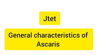 General characteristics of ascaris 🪱 jtet jtetzoology jtetbiology neet [upl. by Flodur]