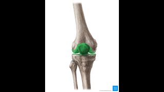 ARTROCINEMATICA CADERA Y RODILLA UAB [upl. by Anelrac]