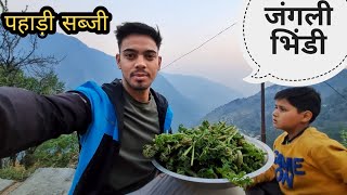 जंगल में गए पहाड़ी भिंडी लेने pahadi lifestyle vlogs  by Kailash pahadi [upl. by Thordis672]