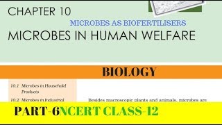 Part6 MICROBES IN HUMAN WELFARE chapter10 NCERT class 12th biology [upl. by Ailemak]