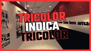 TRICOLOR INDICA TRICOLOR  ALEXANDRE  ANOTAÇÕES TRICOLORES [upl. by Yllah863]