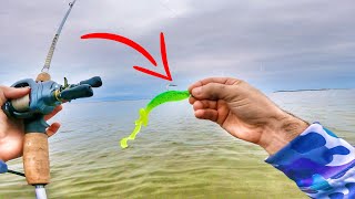 Using NEW FUTURISTIC LURE to catch BIG WINTER TROUT [upl. by Sorenson]