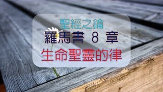 羅馬書第8章賜生命聖靈的律【聖經之鑰】Romans [upl. by Eicaj]