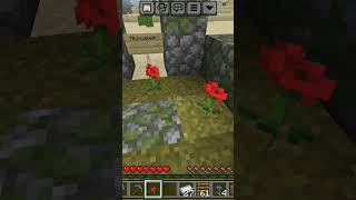 Minecraft Technoblade RIP 😢😢 [upl. by Fidelas689]