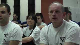 Sifu Niko Unterricht am 11052013 in Stuttgart [upl. by Dearr]