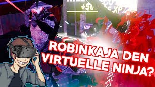 ROBIN VR NINJAEN  Sairento VR [upl. by Bonilla]