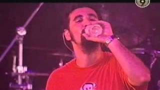 System of a Down  Live at Lowlands  Holland 2001 [upl. by Tillion]