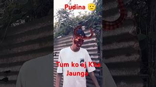 Pudina comedy bhojpuri song dance virelshort [upl. by Sirahc]