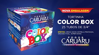 Torta Color Box  Super Show  Fogos Caruaru [upl. by Arte901]