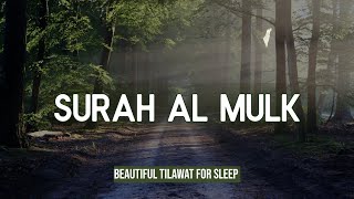 Sleeping Baby Quran Recitation Relax Sleep  Beautiful Quran For Sleep Well  Surah AlMulk [upl. by Anile]