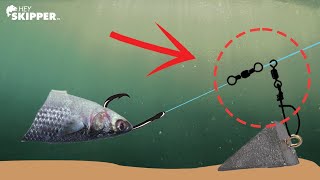 Beach Fishing Try THIS to Catch BIGGER Fish Fish Finder Rig Tutorial [upl. by Einniw342]