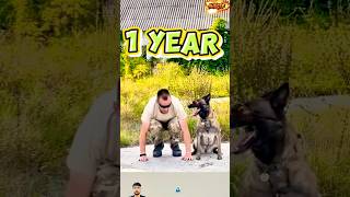 ❌TRAINING DOG k9 doglover malinois pitbull germanshepherd pets [upl. by Adanar]