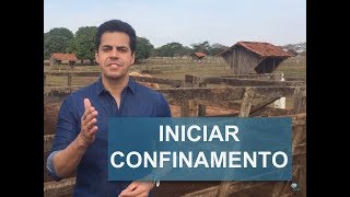 COMO INICIAR UM CONFINAMENTO EM PEQUENAS PROPRIEDADES [upl. by Kennie]