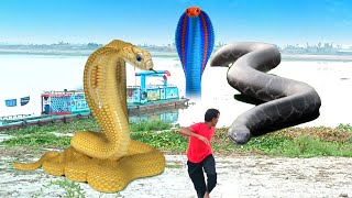 Anaconda Attack  Cobra Snake in Real Life HD Video  Part 38 [upl. by Aisitel]