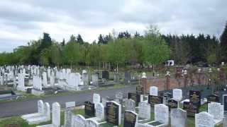 Amy Winehouses Gravestone Edgware Jewish Cemetry Edgware [upl. by Ettenrahc]