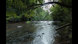 Blue Sky Cabin Rentals  River Rendezvous 1 Bedroom Cottage Directly on the Pristine Ellijay River [upl. by Annoed389]